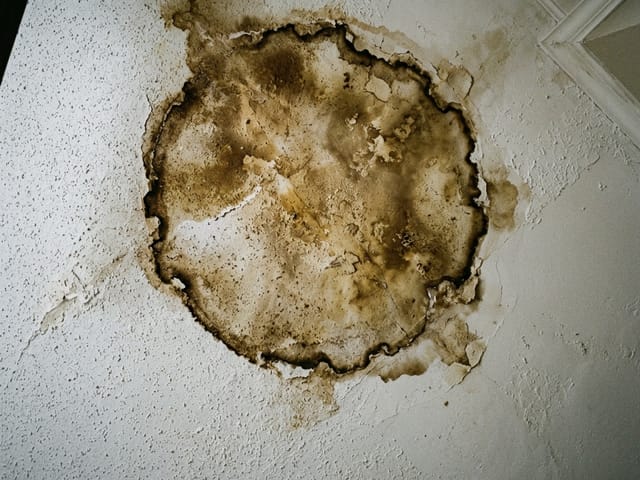 Water-damaged ceiling needing tile and grid replacement